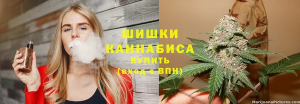 первитин Богданович