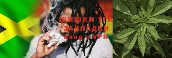 первитин Богданович
