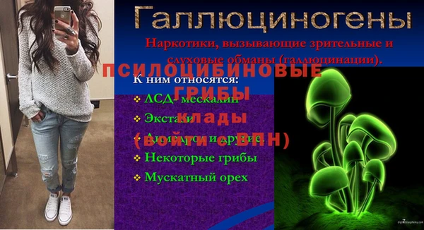 индика Балабаново