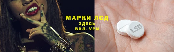 apvp Богородск