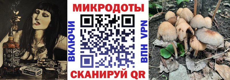 Галлюциногенные грибы GOLDEN TEACHER  Буйнакск 